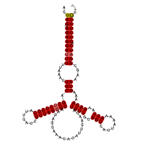 secondary structure