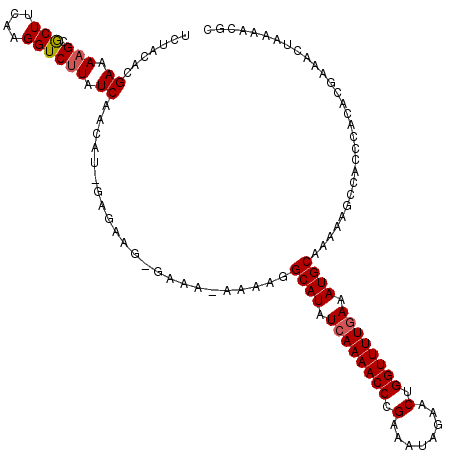 secondary structure