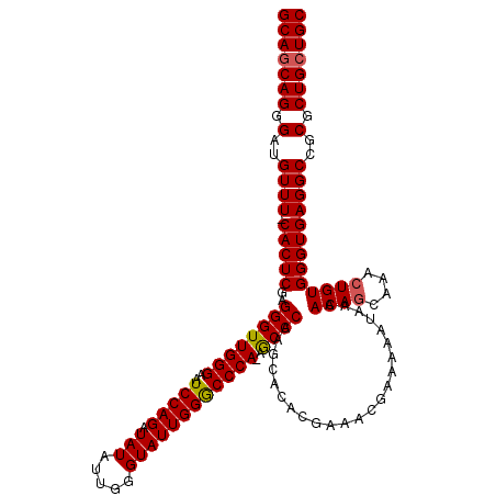 secondary structure