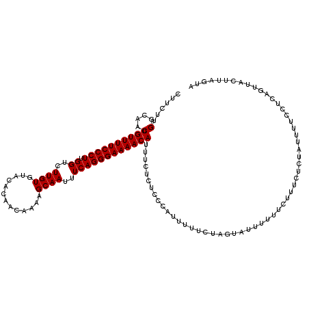 secondary structure