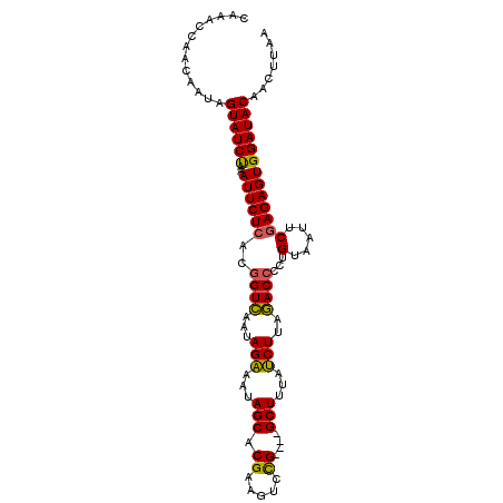 secondary structure