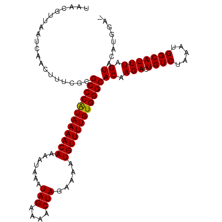 secondary structure