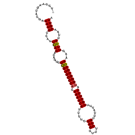 secondary structure
