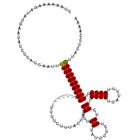 secondary structure