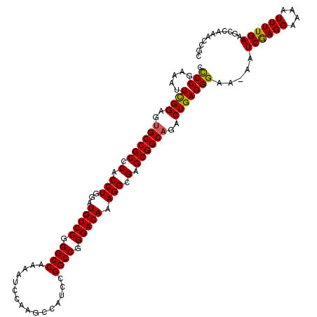 secondary structure