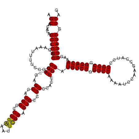 secondary structure