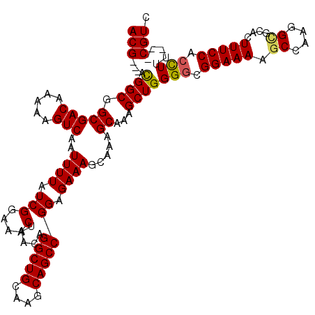 secondary structure