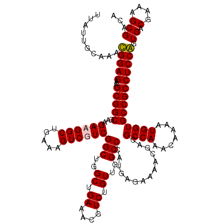 secondary structure