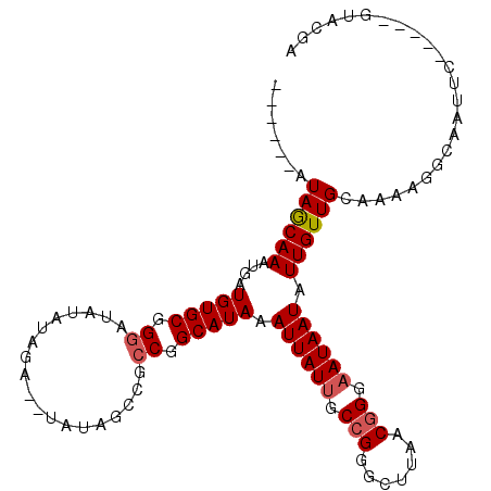 secondary structure