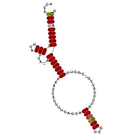 secondary structure