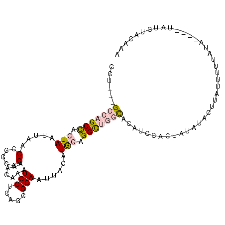 secondary structure