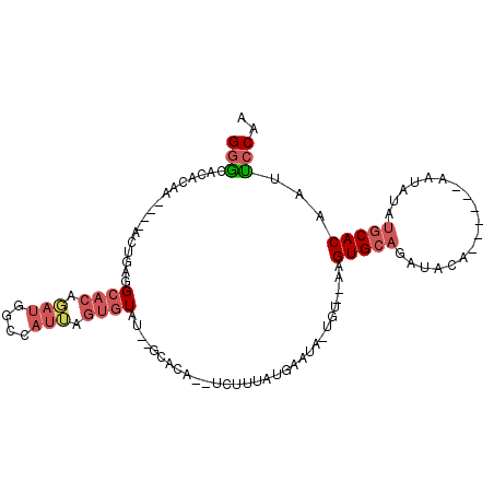 secondary structure