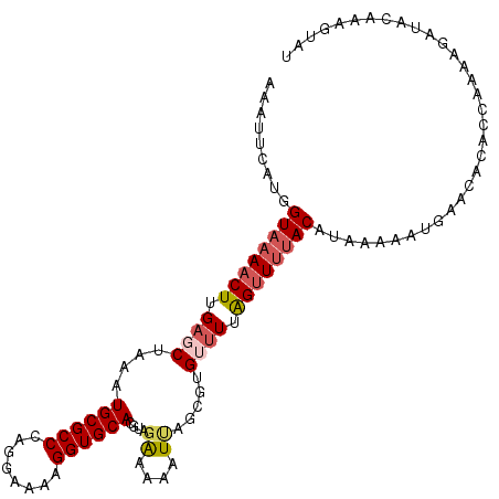secondary structure