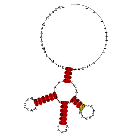 secondary structure