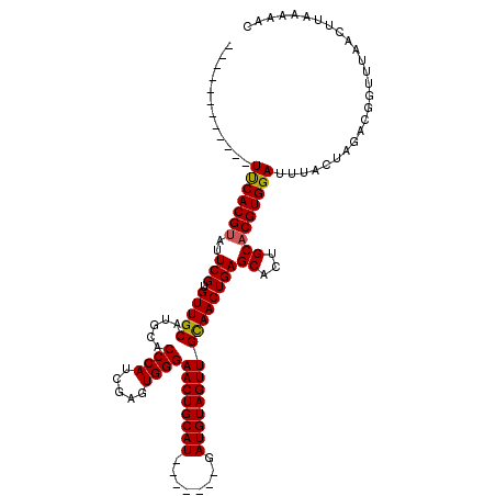 secondary structure