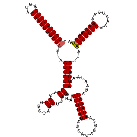 secondary structure