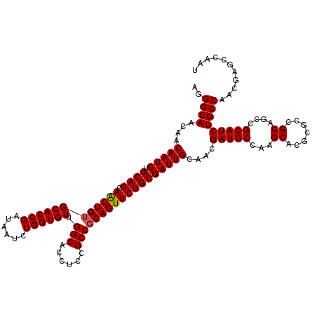 secondary structure