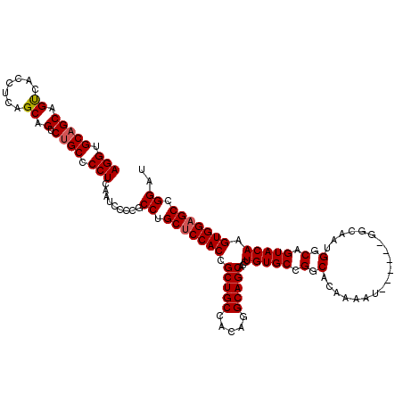 secondary structure