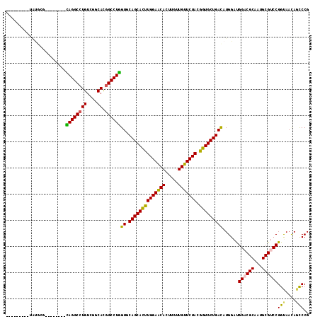 dotplot