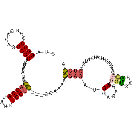 secondary structure