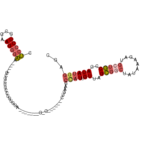 secondary structure