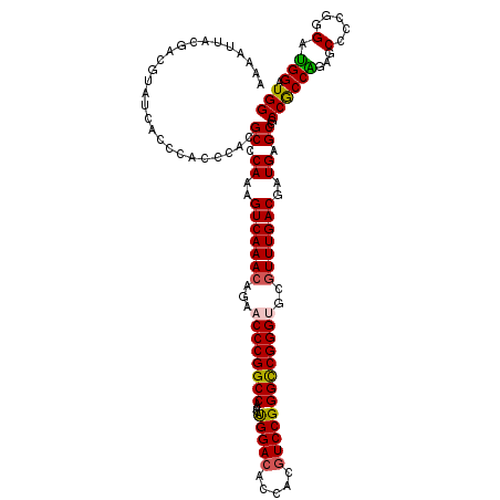 secondary structure