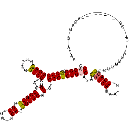 secondary structure