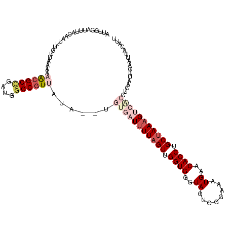 secondary structure