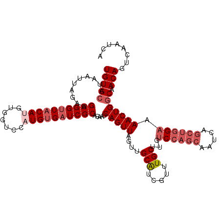 secondary structure