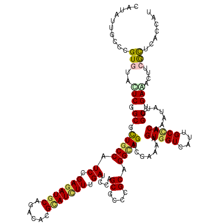 secondary structure