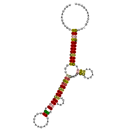 secondary structure