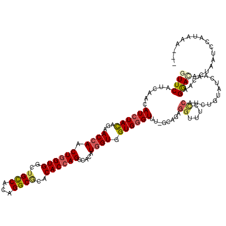 secondary structure