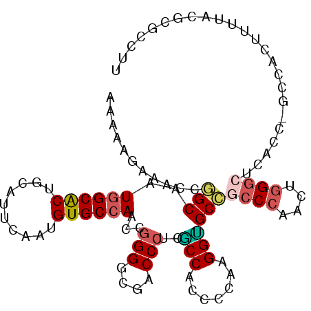 secondary structure