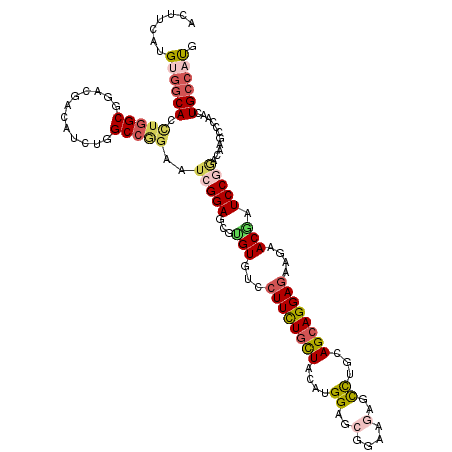 secondary structure