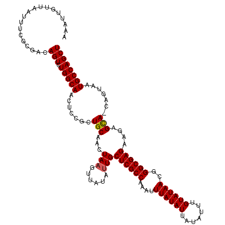 secondary structure