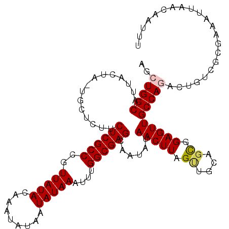 secondary structure
