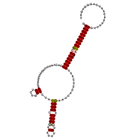 secondary structure