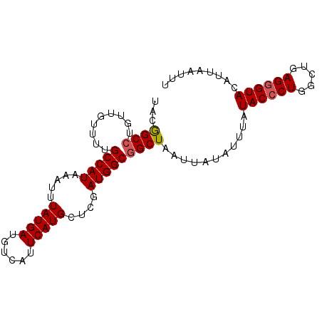 secondary structure