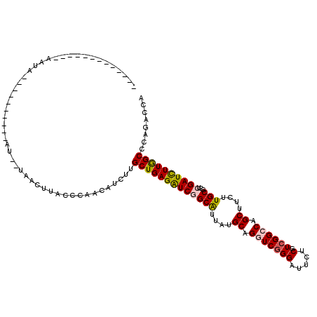 secondary structure