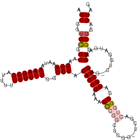 secondary structure
