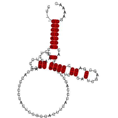 secondary structure