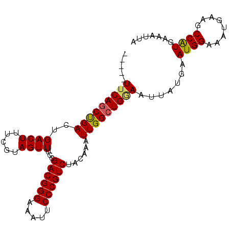 secondary structure