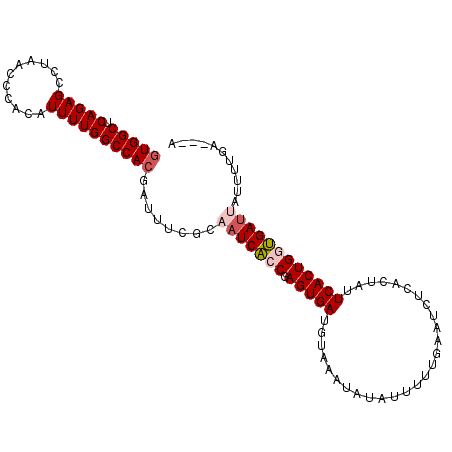 secondary structure
