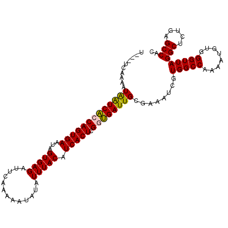 secondary structure