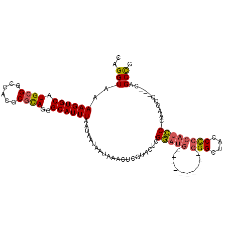 secondary structure