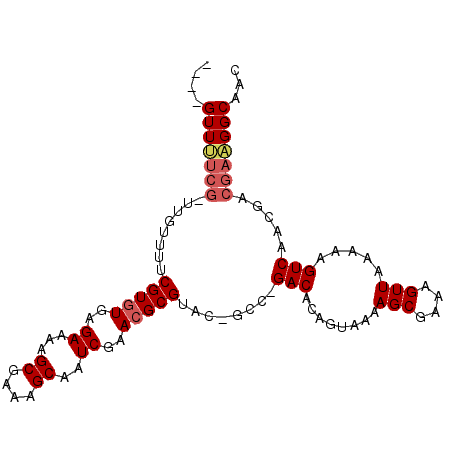 secondary structure