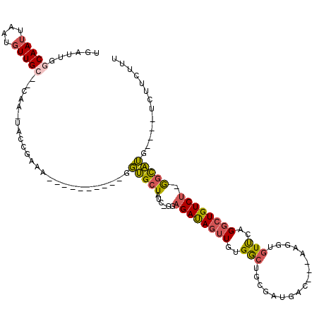 secondary structure