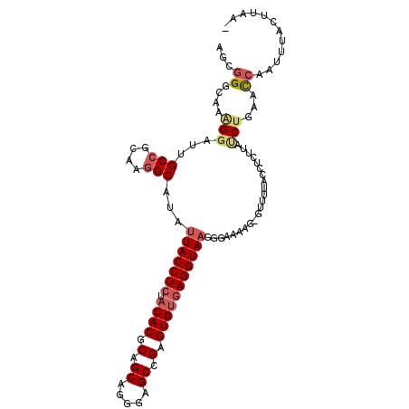 secondary structure