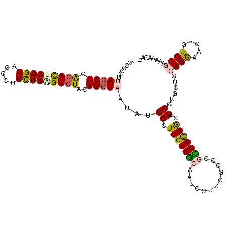 secondary structure