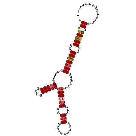 secondary structure
